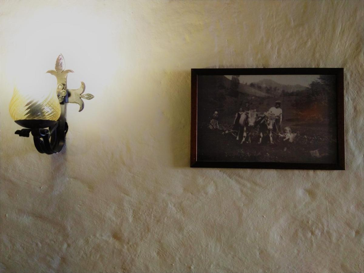 Rooms Vodisek - Depandansa Hotela Capris Capodistria Boutique Exteriör bild